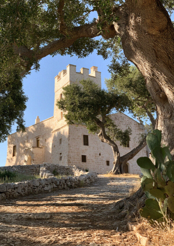 A whitewashed fortified farm among the olive groves inland of Ostuni in Puglia