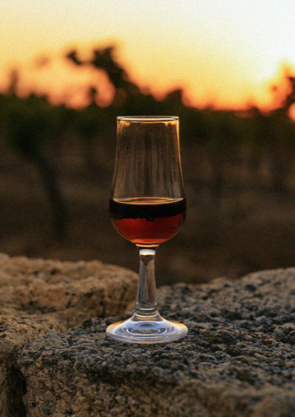A glass of wine standing on volcanic rock in front of a Santorini vineyard at sunset